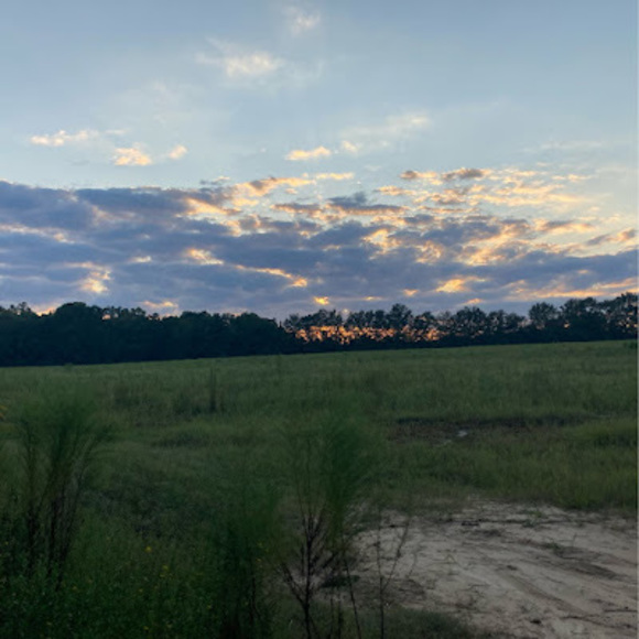 Meet your Posher, Alice - Picture 1 of 1